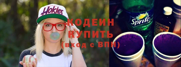 индика Балахна