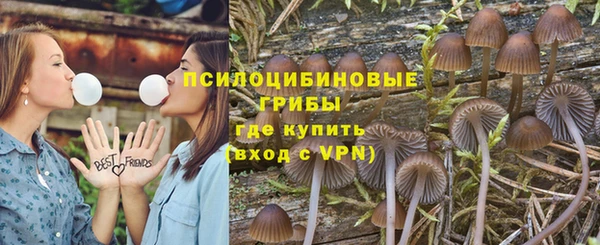 индика Балахна
