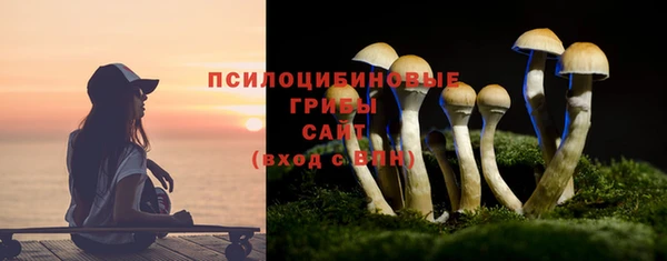 индика Балахна