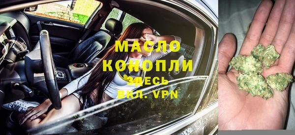 индика Балахна