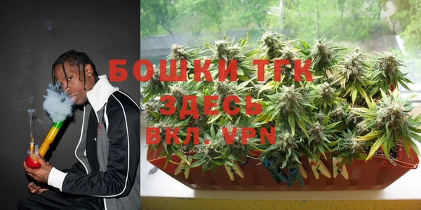 индика Балахна