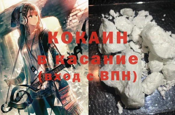 индика Балахна