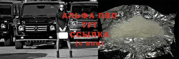 индика Балахна