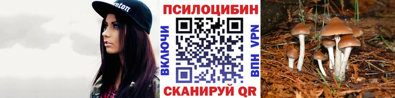 Галлюциногенные грибы Cubensis  даркнет сайт  Северо-Курильск 